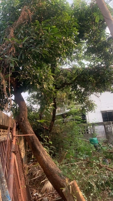 ขนเศษวัสดุก่อสร้าง