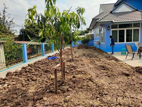 ปรับพื้นที่
