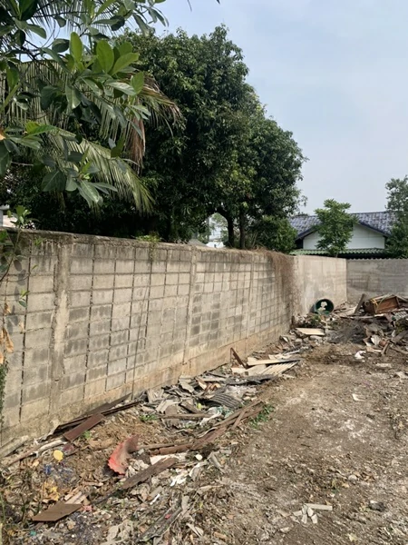 รื้อป่า ถางป่า ที่ บางกระสอ ลำดับที่ 350
