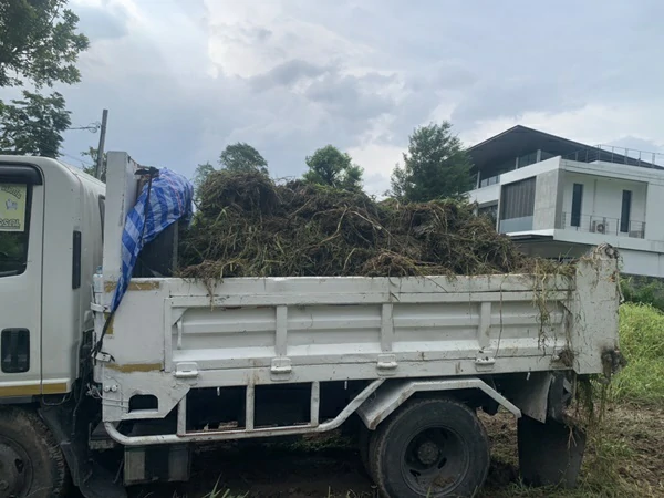 รื้อป่า ถางป่า ที่ พุทธมณฑลสาย1 ลำดับที่ 394