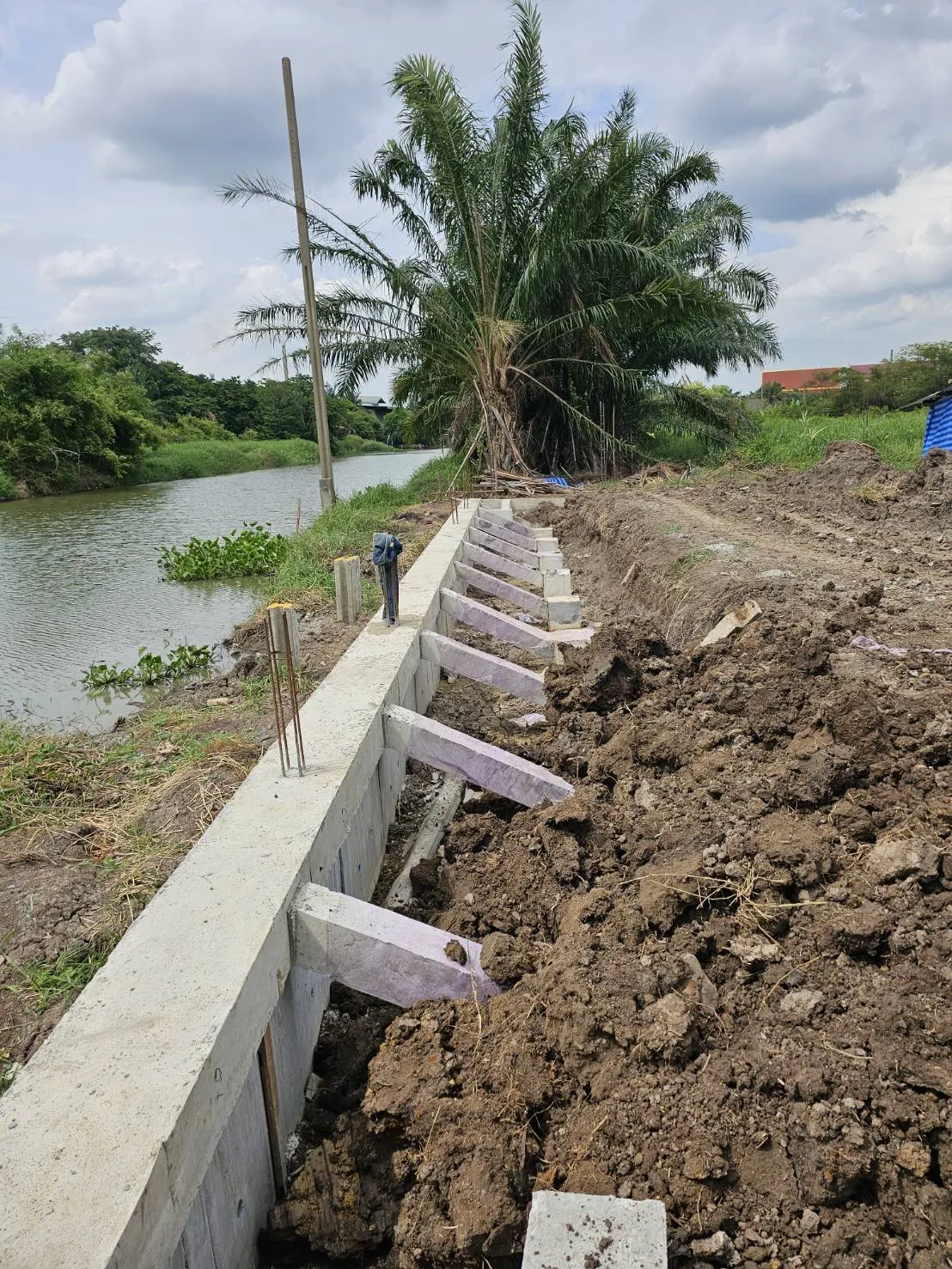 ปรับพื้นที่