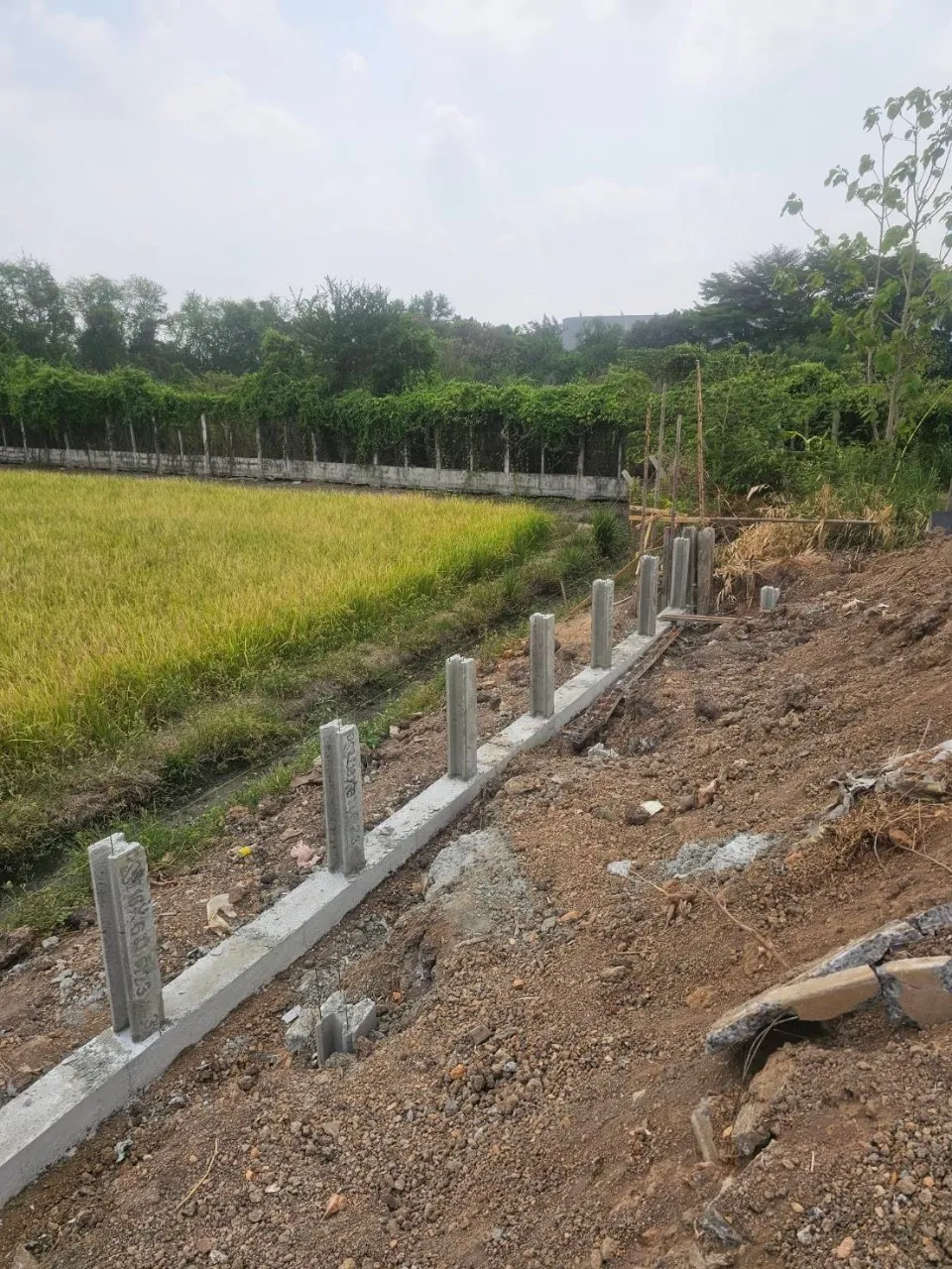 ปรับพื้นที่