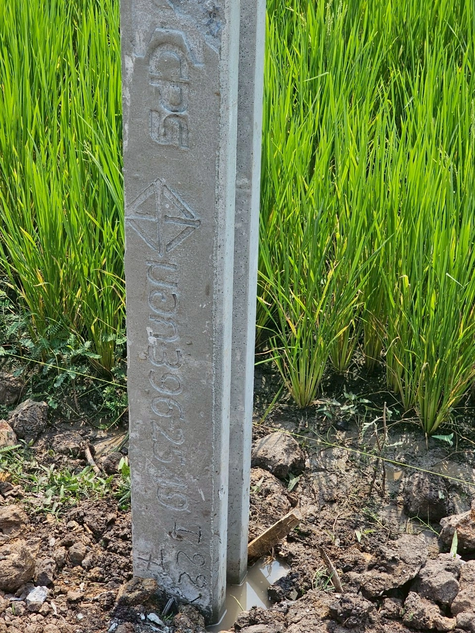 ทุบ รื้อถอนบ้าน และอาคาร