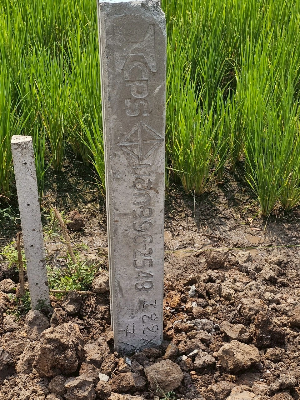 ต.บางแม่นาง อ.บางใหญ่