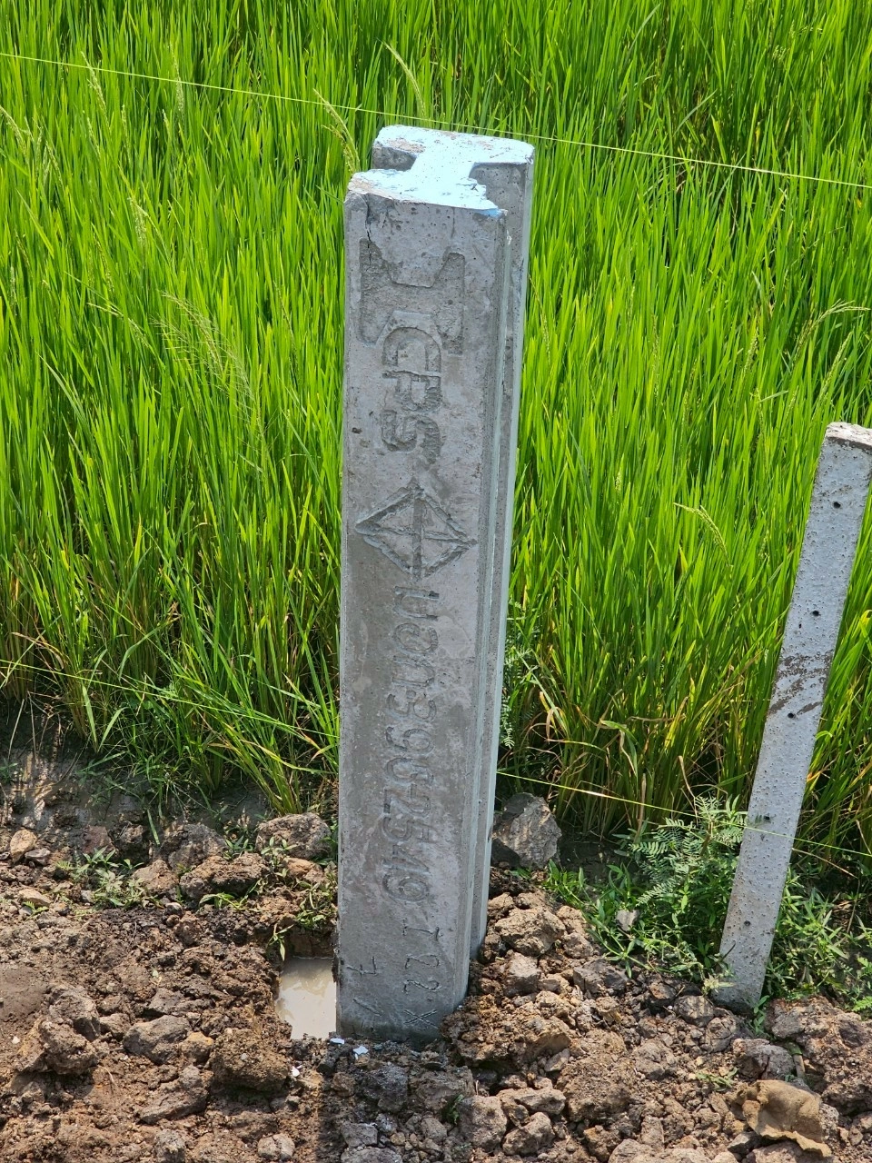 ทุบ รื้อถอนบ้าน และอาคาร